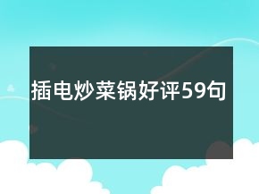插電炒菜鍋好評59句