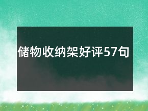 儲物收納架好評57句