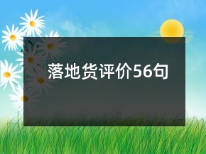 落地貨評價56句