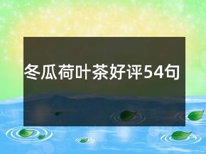 冬瓜荷葉茶好評(píng)54句