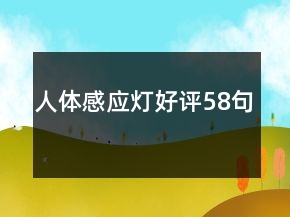 人體感應(yīng)燈好評58句