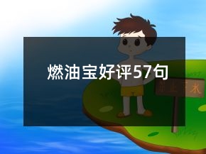 燃油寶好評(píng)57句