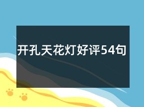 開孔天花燈好評54句