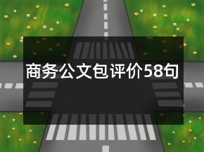 商務(wù)公文包評(píng)價(jià)58句