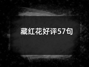 藏紅花好評(píng)57句