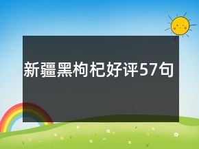 新疆黑枸杞好評(píng)57句