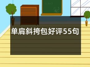單肩斜挎包好評55句