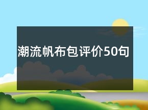 潮流帆布包評價50句