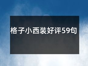格子小西裝好評59句
