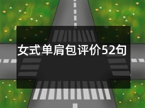 女式單肩包評(píng)價(jià)52句