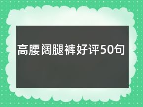 高腰闊腿褲好評(píng)50句