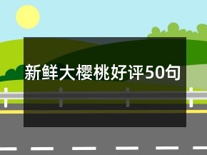 新鮮大櫻桃好評50句