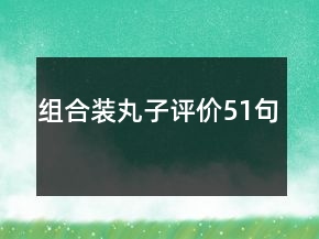 組合裝丸子評價51句
