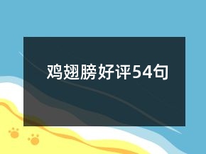 雞翅膀好評54句