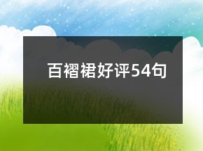 百褶裙好評54句