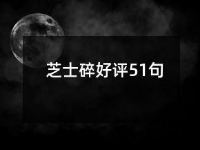 芝士碎好評51句