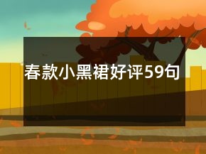 春款小黑裙好評59句