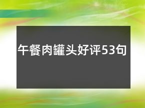 午餐肉罐頭好評53句