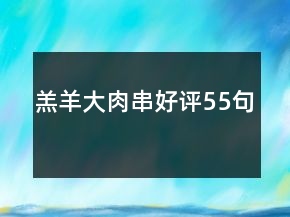 羔羊大肉串好評55句