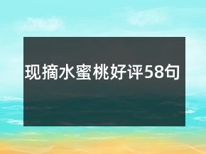 現(xiàn)摘水蜜桃好評(píng)58句