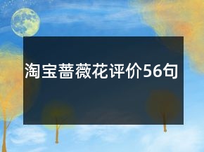 淘寶薔薇花評(píng)價(jià)56句