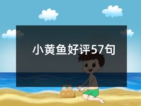 小黃魚好評57句
