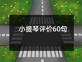 小提琴評價60句