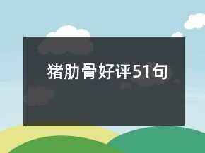 豬肋骨好評(píng)51句