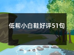 低幫小白鞋好評51句