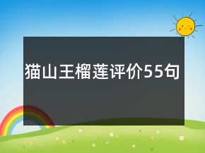 貓山王榴蓮評價55句