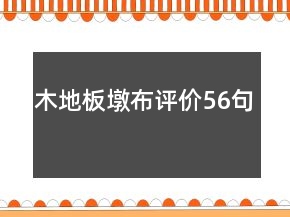 木地板墩布評價56句