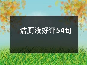 潔廁液好評(píng)54句