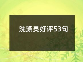 洗滌靈好評53句