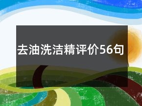 去油洗潔精評(píng)價(jià)56句