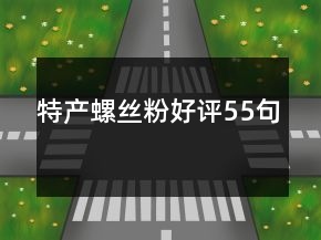 特產(chǎn)螺絲粉好評(píng)55句