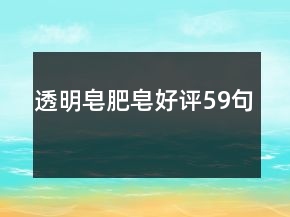 透明皂肥皂好評(píng)59句