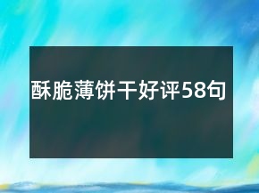 酥脆薄餅干好評58句