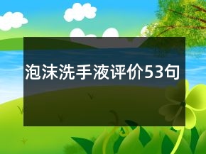 泡沫洗手液評價53句