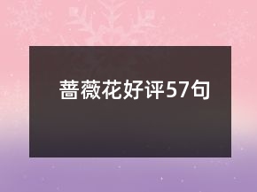 薔薇花好評(píng)57句