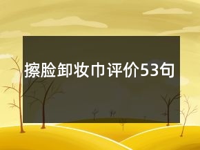 擦臉卸妝巾評價53句