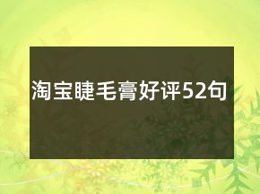 淘寶睫毛膏好評(píng)52句