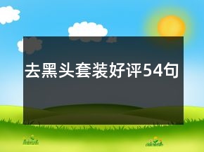 去黑頭套裝好評54句