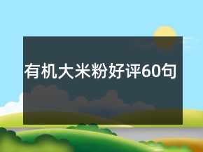 有機(jī)大米粉好評(píng)60句