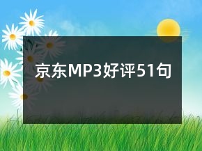 京東MP3好評(píng)51句
