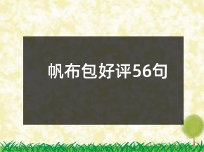 帆布包好評56句