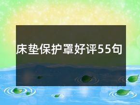 床墊保護(hù)罩好評55句