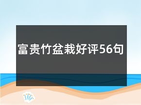 富貴竹盆栽好評56句