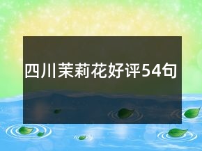 四川茉莉花好評54句