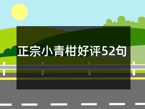 正宗小青柑好評(píng)52句