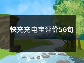 快充充電寶評價56句